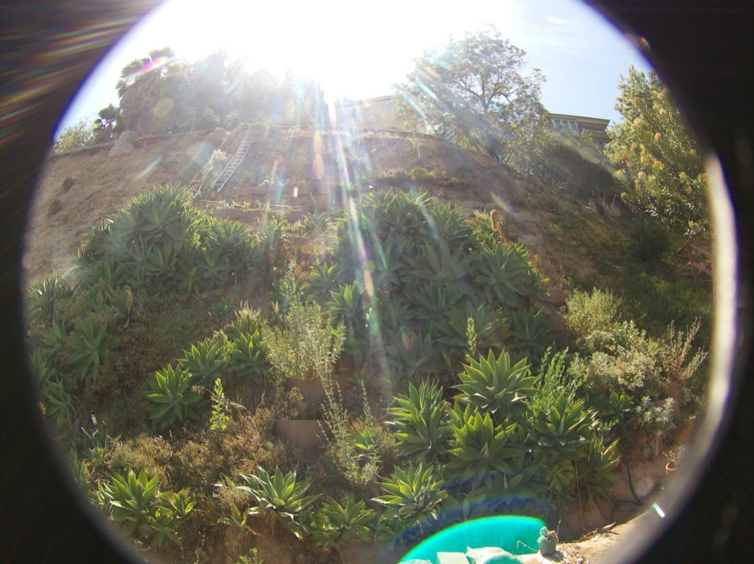 Early-afternoon capture with the sun flaring directly into the lens